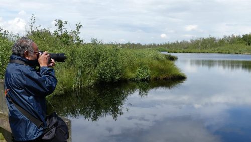 Excursieworkshop-fotografie-50-Groote-Peel