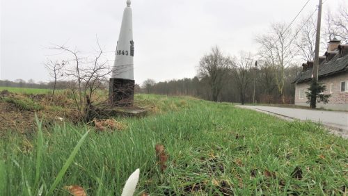 Fietsexcursie-bloeiend-krokuslint-Altweerterheide-Bocholt-Stramproy