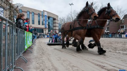 Fokpaardendag-afscheid-A-Heijmans-29