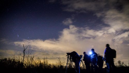 Workshop nachtfotografie in de Groote Peel