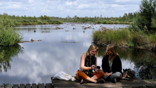 Ga-op-zoek-naar-dieren-en-plantensoorten-in-de-natuur