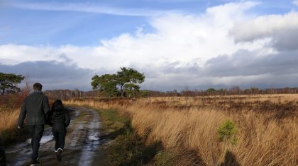 Geniet-van-de-herfst-in-de-Peel-Marijke-Vaes-Schroen