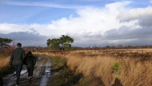 Geniet-van-de-herfst-in-de-Peel-Marijke-Vaes-Schroen