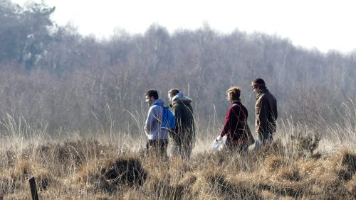 Geniet-van-de-winterse-stilte-in-De-Groote-Peel