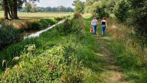 Wandelaars met hond in de Zig.