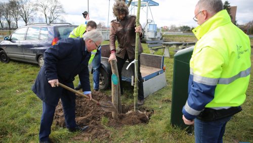 Groene-pluim-Wandelroutenetwerk-Nederweert-5