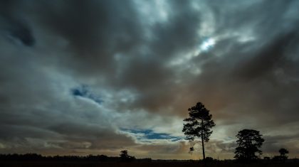 Volle maan in de Groote PeelAan de horizon is de kerktoren van Meijel zichtbaar