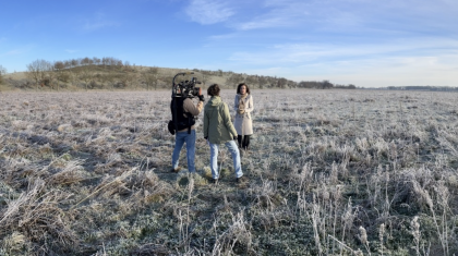 Grootschalige-bosontwikkeling-in-Weert