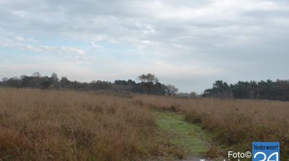 Herfst in de Grote Peel