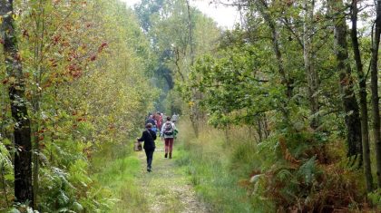 Herfstwandeling-Groote-Peel-2013-10-22-om-10