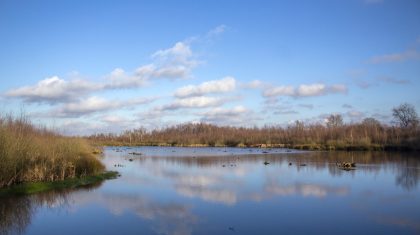 Herstel-‘lek-Meerbaansblaak-in-Nationaal-Park-De-Groote-Peel1