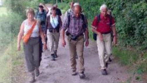 IVN-Weert-seniorenwandeling