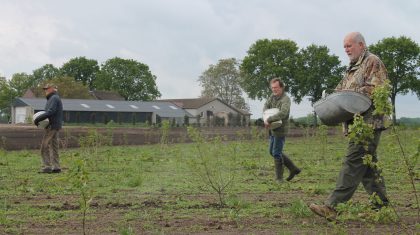 Inzaaien-bloemenmengsel-voor-bijen