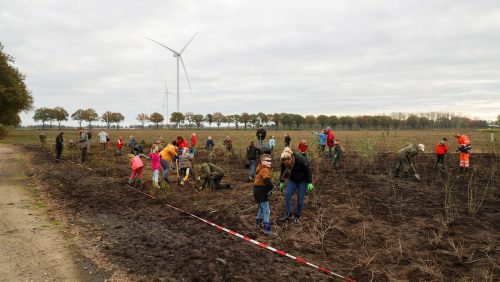 Jeugd-Jong-Nederland-Ospel-plant-stekelstruweel-bij-Windpark-Ospeldijk-6