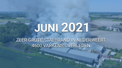 Juni-2021-nederweert24