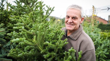 Kerstbomen-kopen-Nederweert-Jan-Mertens-1