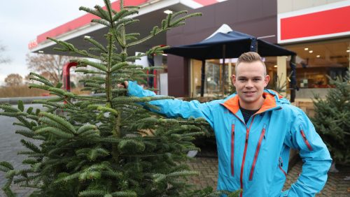 Kerstboom-Nederweert-Dirk-Briels-1