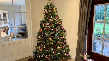 Kerstboom-Yvonne-de-Vries-van-Dongen-