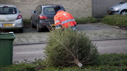 Kerstboom-kliko-12-1-2017-01-