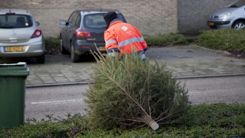 Kerstboom-kliko-12-1-2017-01-