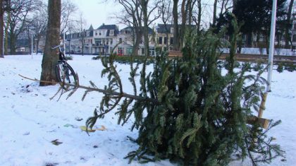 Kerstboom-ophalen-door-gemeente