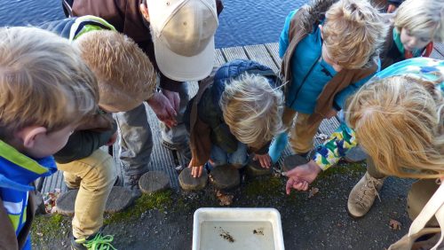 Kinderfeestje-Buitencentrum-De-Pelen-Marijke-Vaes-Schroen-Staatsbosbeheer