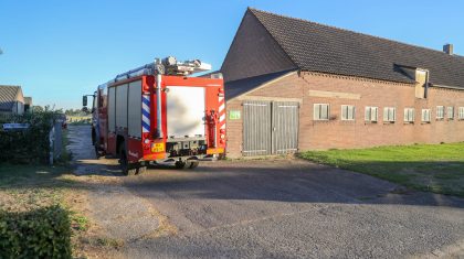 Koe-in-de-problemen-Ospeldijk-1