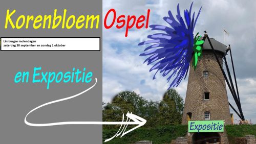 Korenbloem-Expositie-Ospel