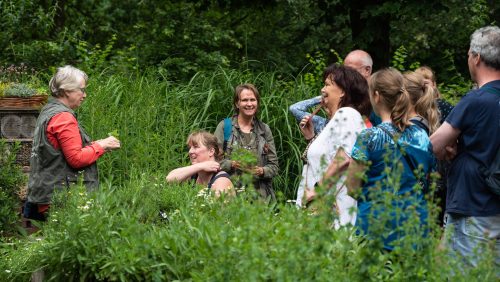 Kruidenwandeling-en-optreden-Heart-Soul-bij-De-Pelen