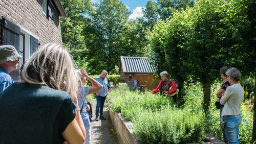 Kruidenwandeling-en-optreden-Peter-Habets-in-De-Groote-Peel