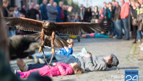 Valkenier Eynderhoof Nederweert-Eind