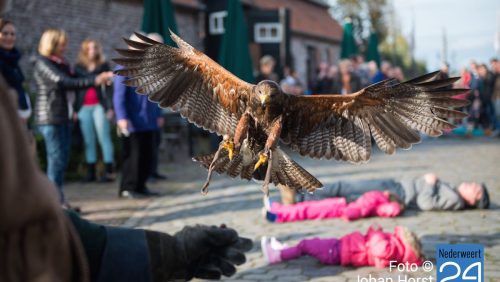 Valkenier Eynderhoof Nederweert-Eind