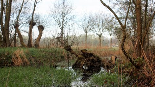 Landgoed-De-Sjans-een-waterrijk-gebied