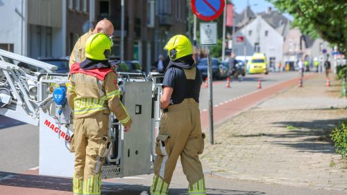 Loshangende-takken-en-gewonde-vrouw-Biest-5