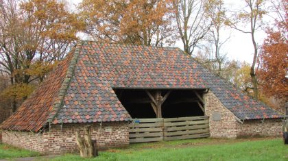 Met-de-kerst-niet-alleen-Pauls-Koije