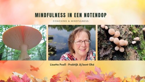 Mindfulness-in-een-notendop