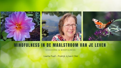 Mindfulness-in-maalstroom-van-je-leven