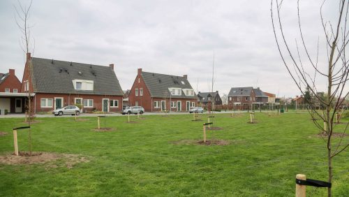 Mini-bos-Hoebenakker-Nederweert-8