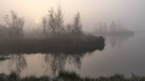 Mistige-ochtend-in-De-Groote-Peel-Marijke-Vaes-Schroen