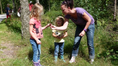 Moederdagwandeling