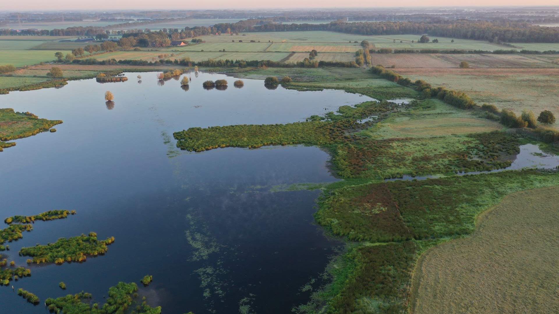 Mussenbaan Staatsbosbeheer