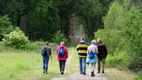 Muziek-en-wandelen-bij-buitencentrum-De-Pelen