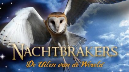 Nachtbrakers-De-uilen-van-de-wereld