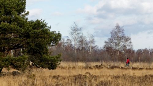 Nationaal-Park-De-Groote-Peel-Marijke-Vaes-Schroen