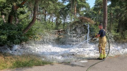 Natuurbrandje-Geuzendijk-Weert-2