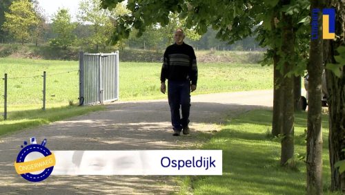 Ongerwaeg-komt-uit-de-bubbel-in-Ospeldijk