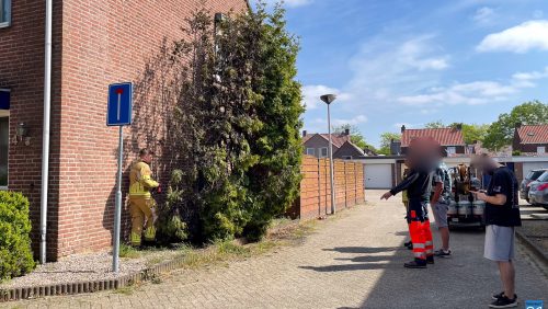 Onkruidbrander-zet-conifeer-in-de-fik-Dhaliastraat-Weert-1