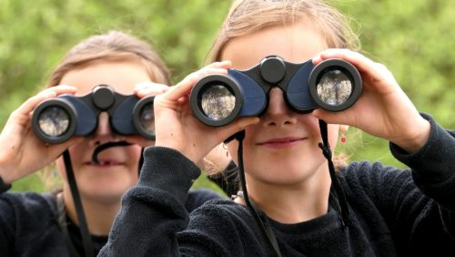 Opleiding-tot-schoolgids-van-Nationaal-Park-De-Groote-Peel-Marijke-VAes