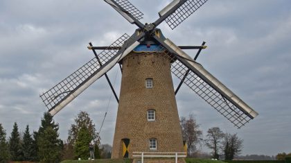 Ospelse-molen-Korenbloem