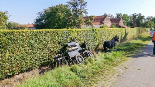 Paard-met-sjees-in-greppel-Mastenbroekweg-Weert-1